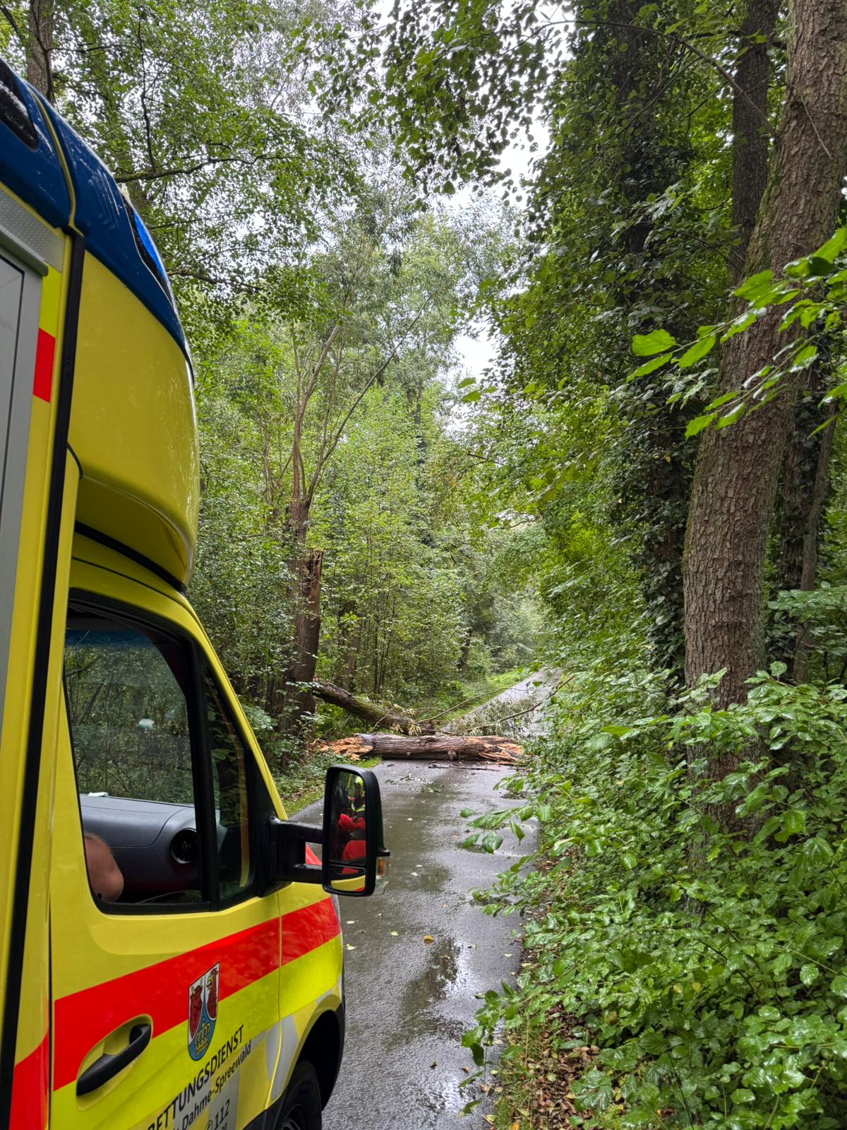 WhatsApp Image 2025-09-14 at 10.28.29