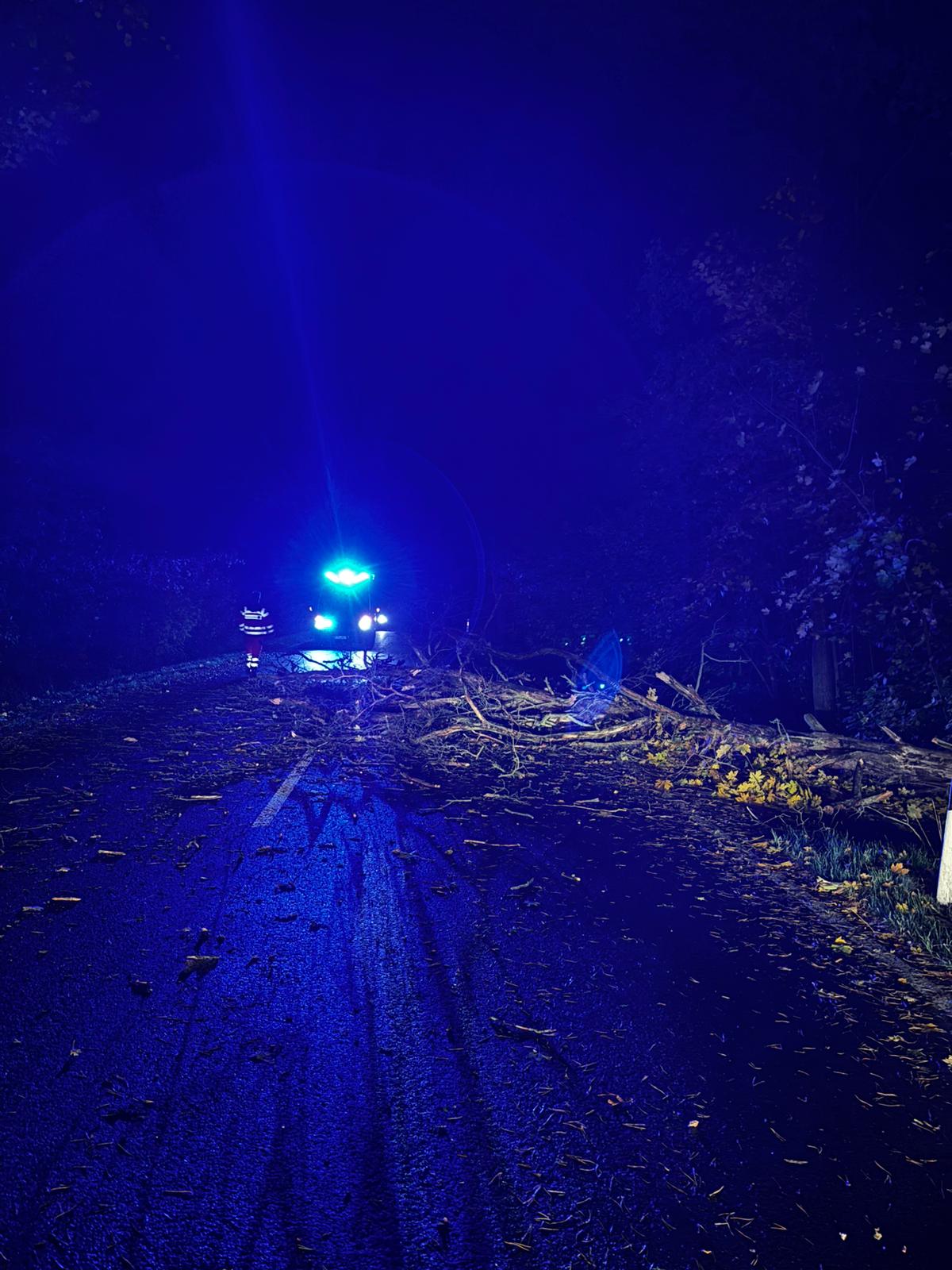 WhatsApp Image 2025-10-26 at 20.39.03 (1)