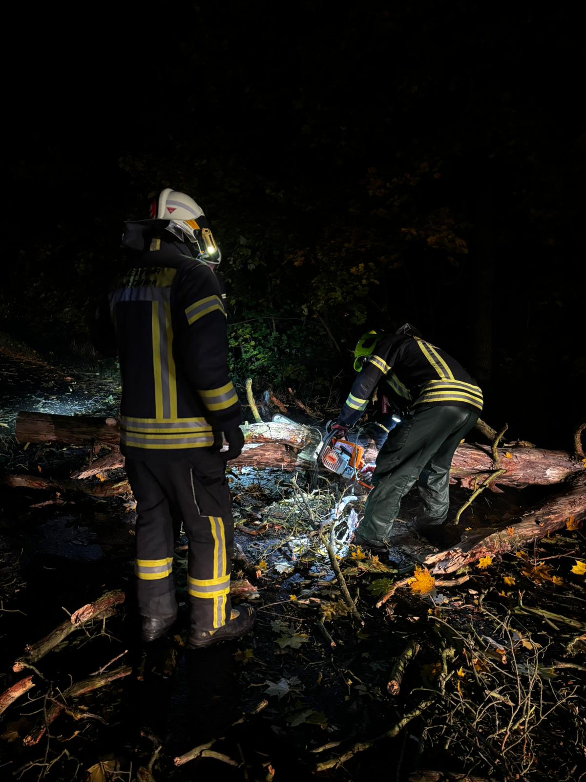 WhatsApp Image 2025-10-26 at 20.39.03