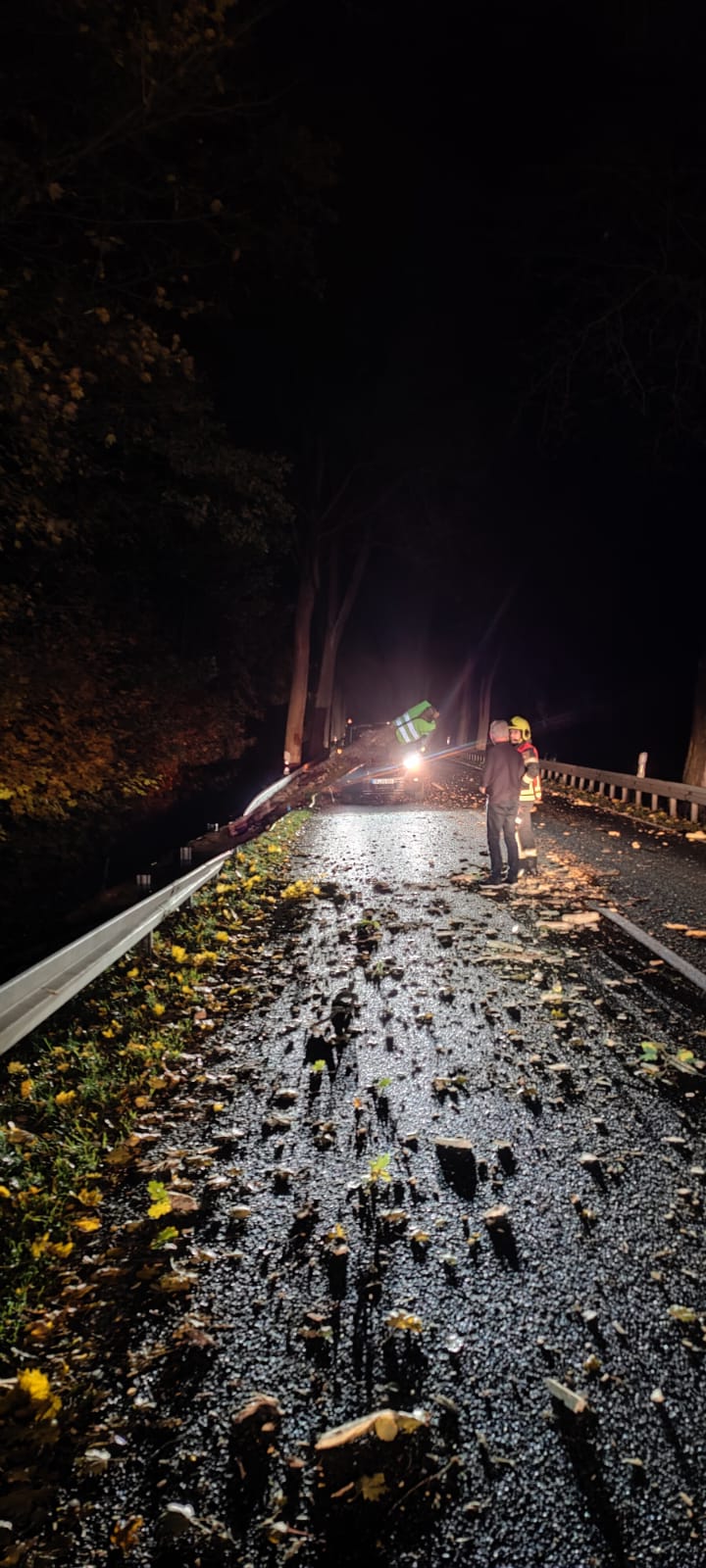 WhatsApp Image 2025-10-26 at 21.26.44