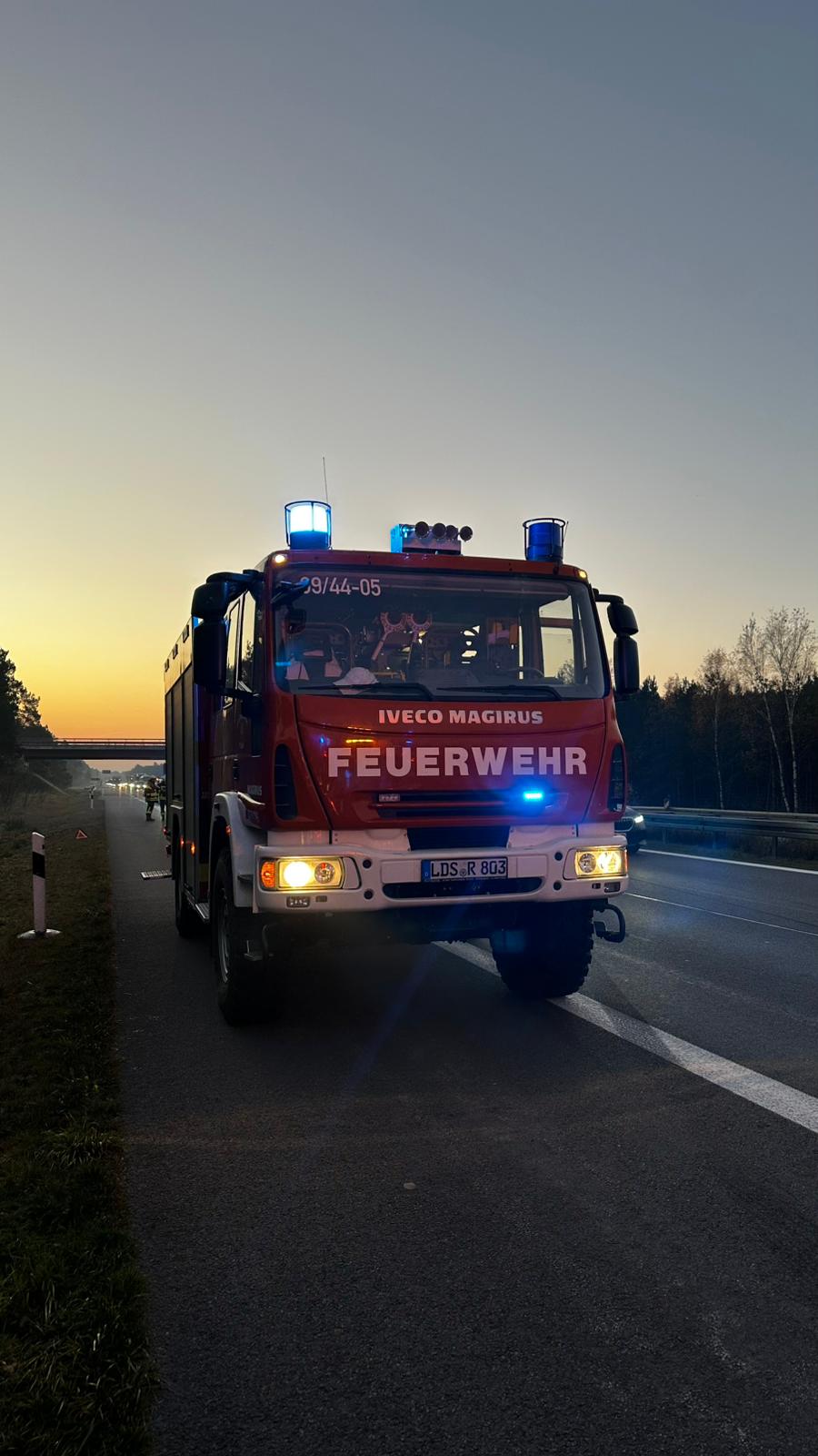 WhatsApp Image 2025-11-07 at 07.03.10