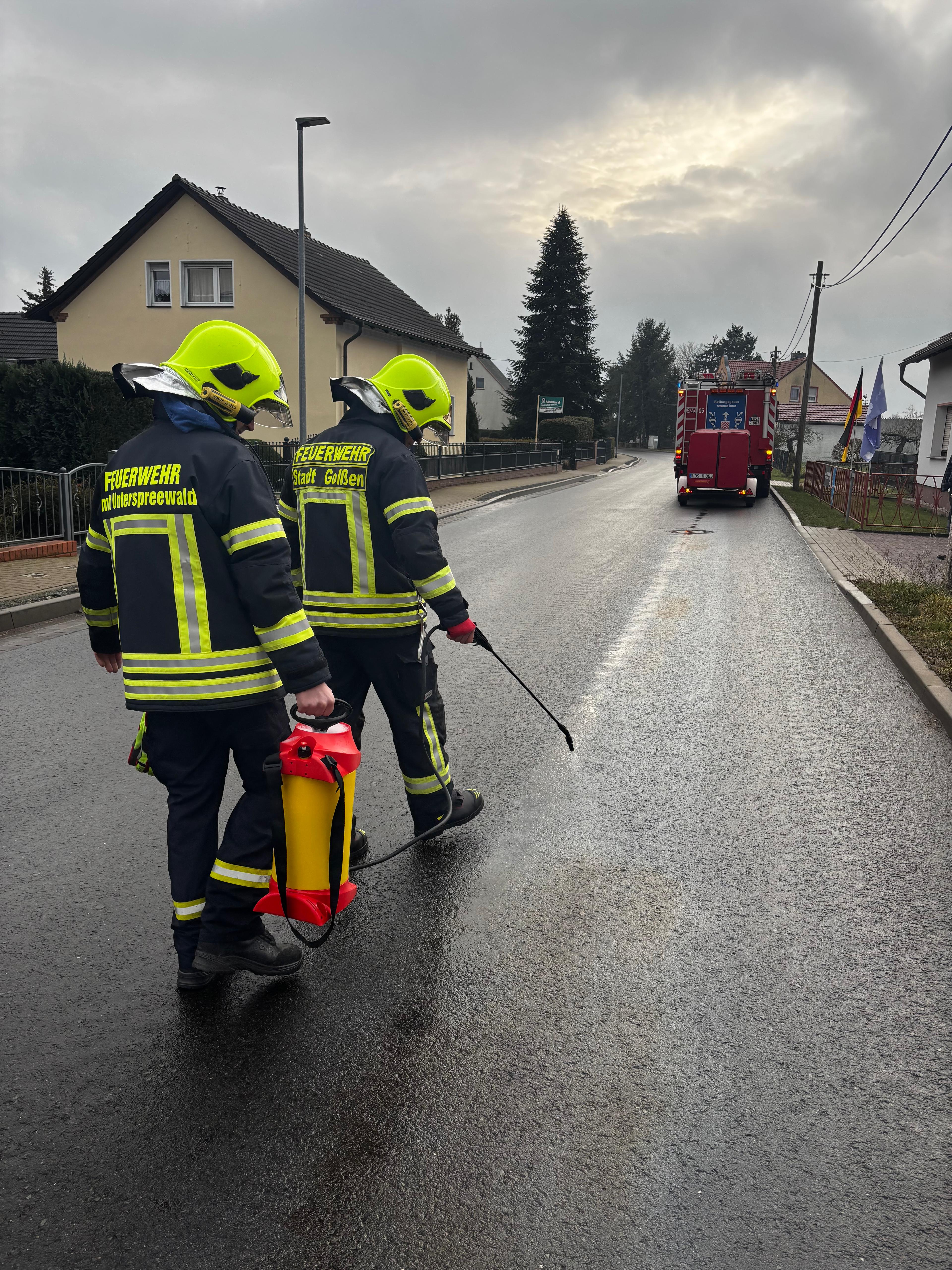 WhatsApp Image 2025-12-05 at 14.56.26