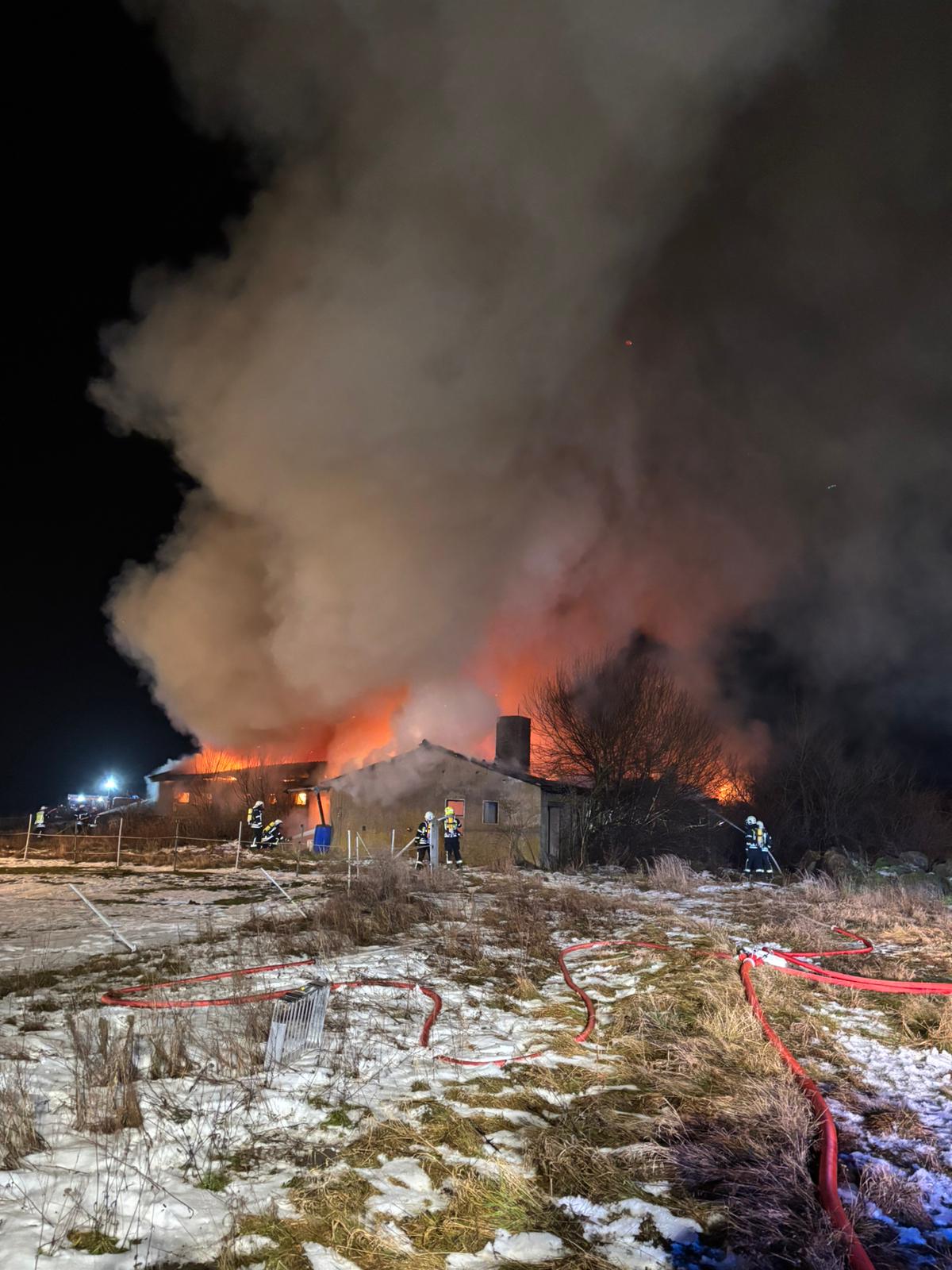 WhatsApp Image 2026-01-17 at 18.05.42