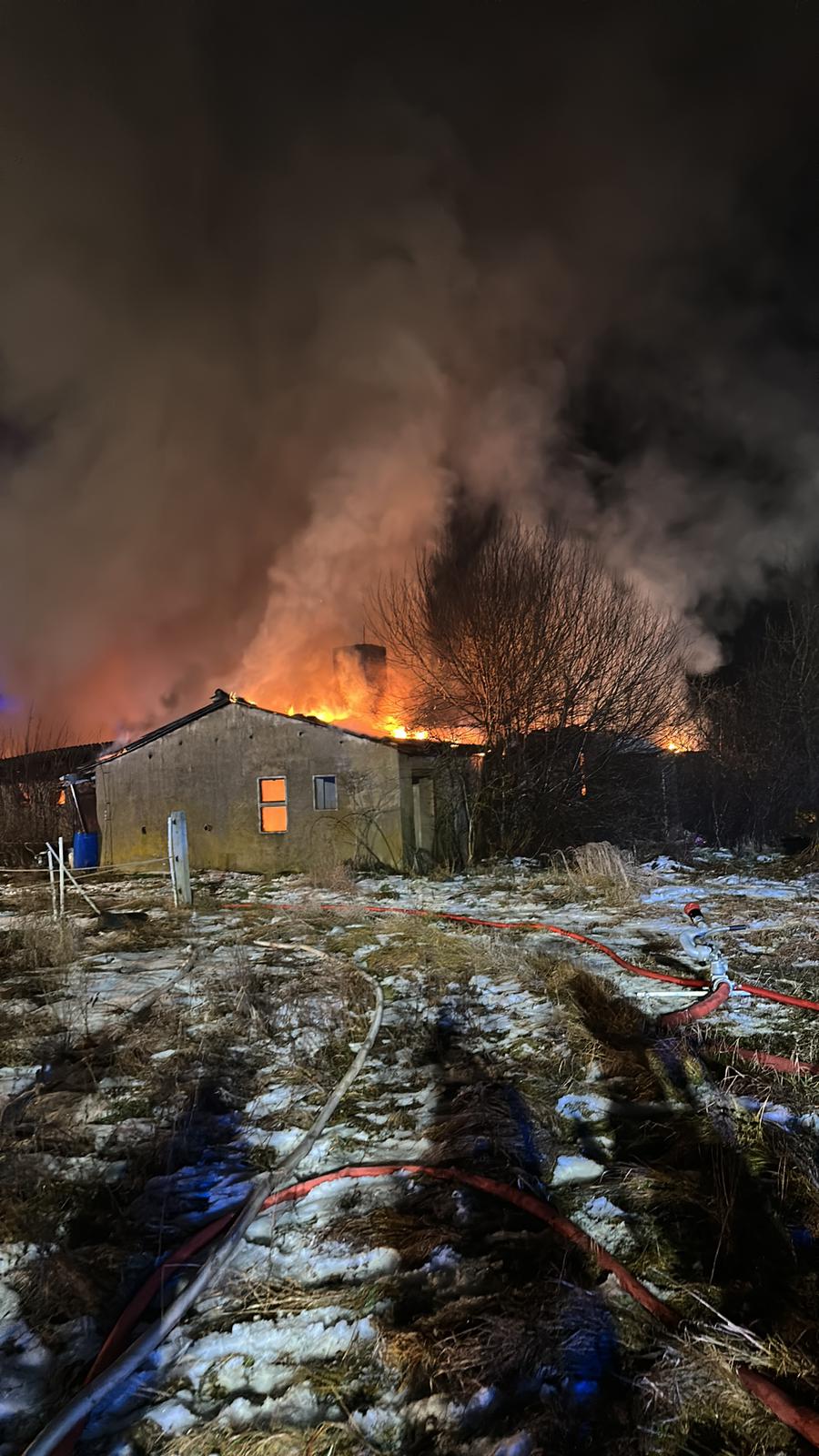 WhatsApp Image 2026-01-17 at 19.59.54