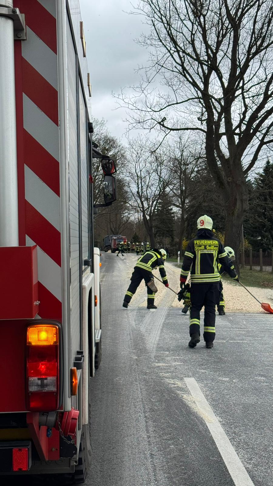 WhatsApp Image 2026-03-30 at 19.09.35