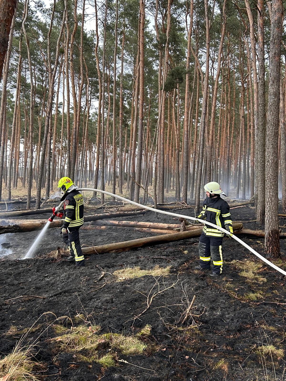 WhatsApp Image 2026-04-05 at 19.24.59 (1)