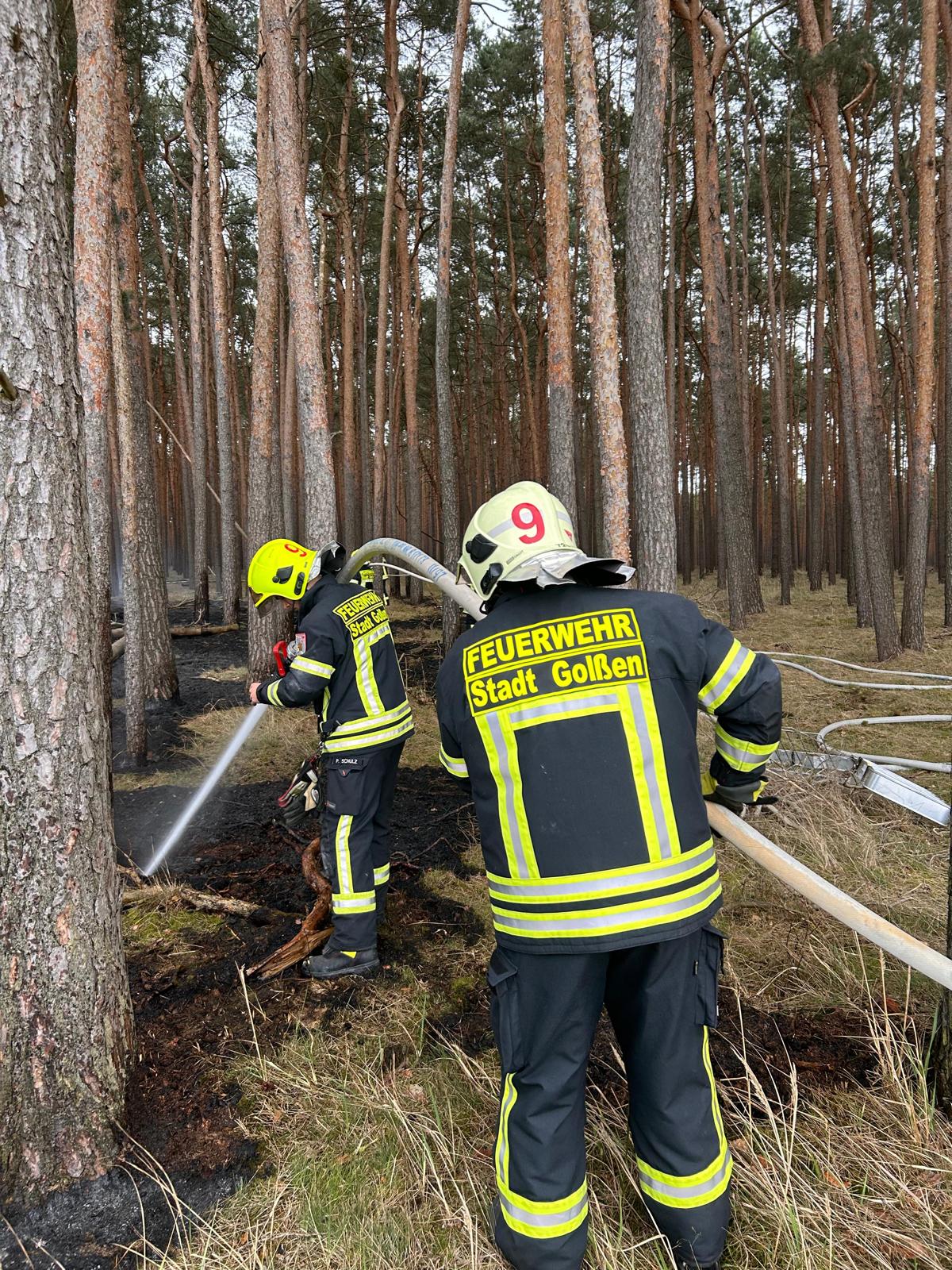 WhatsApp Image 2026-04-05 at 19.24.59 (2)