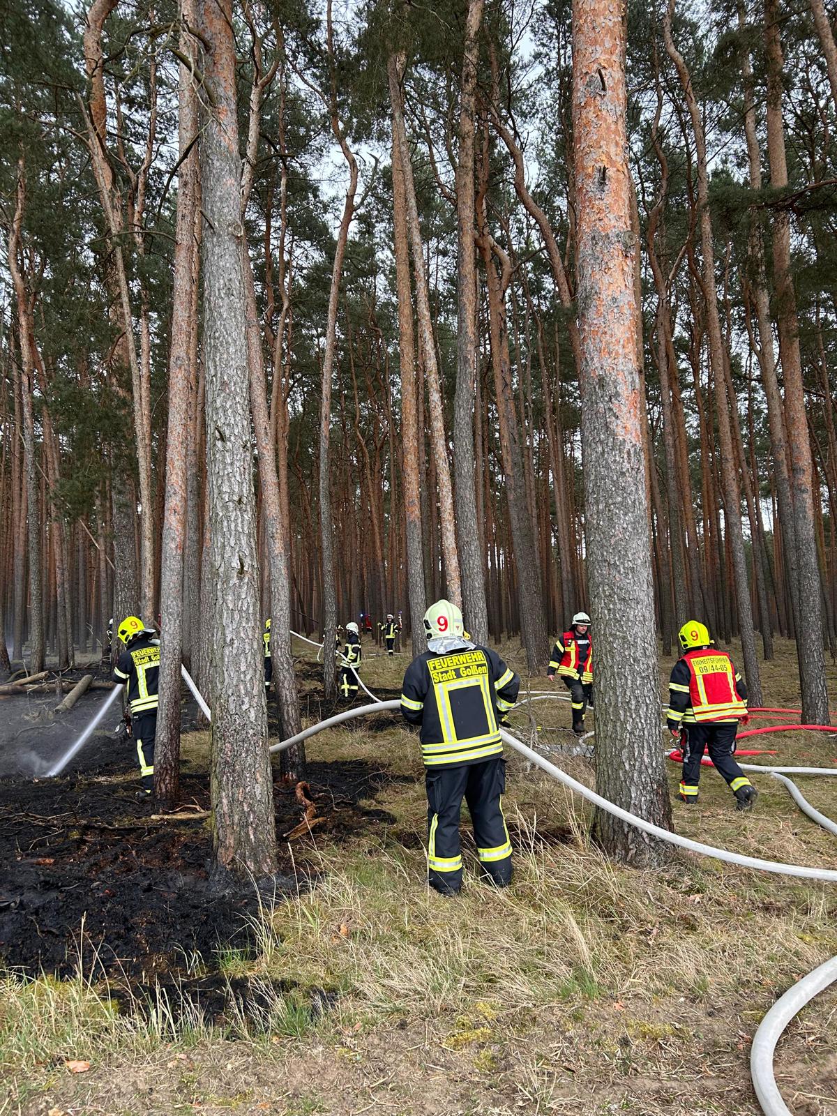 WhatsApp Image 2026-04-05 at 19.24.59